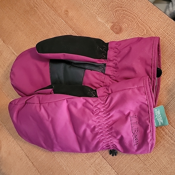 L.L. Bean Accessories - LL Bean Women's Insulated Purple Mittens